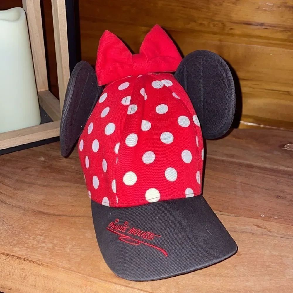 Minnie Hat from Disney world